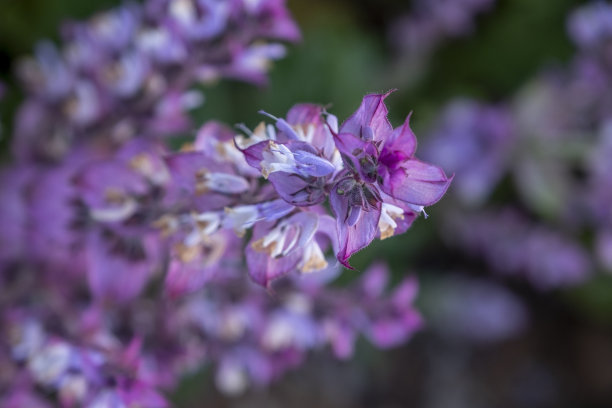 如何度过感情疲惫期 如何度过感情疲惫期